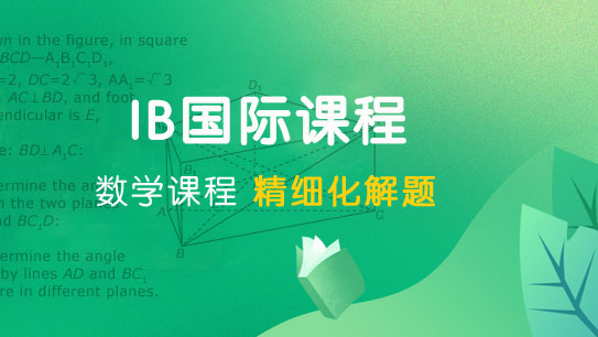 IB数学班